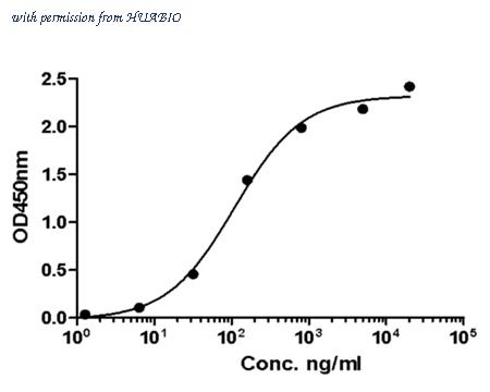 HUABIO HA601043 image 1
