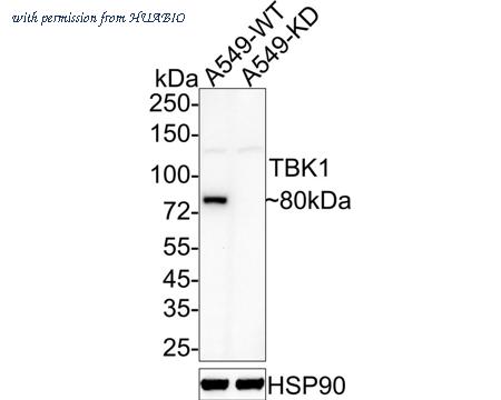 HUABIO HA601044 image 2