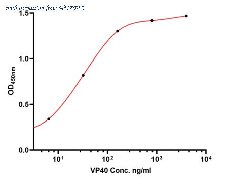 HUABIO HA601066 image 1