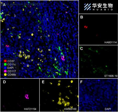 HUABIO HA601114 image 1