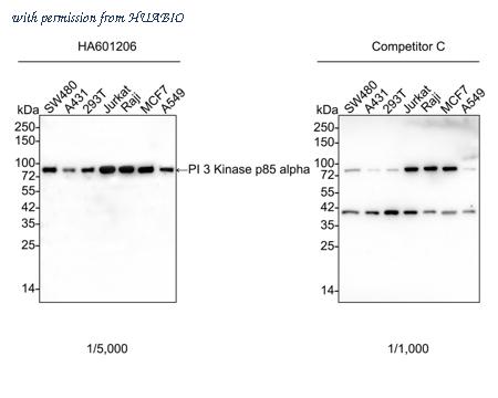 HUABIO HA601206 image 1