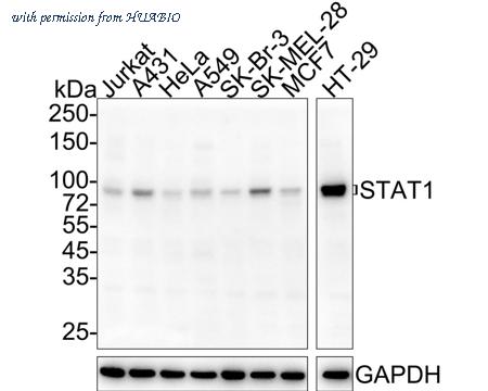 HUABIO HA601309 image 1