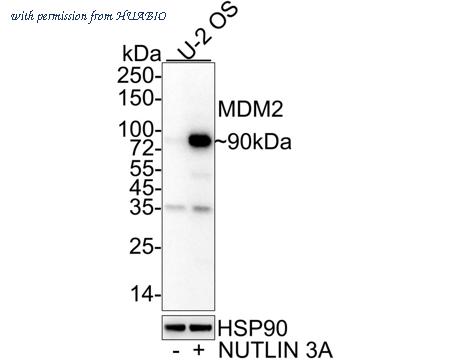 HUABIO HA601310 image 1