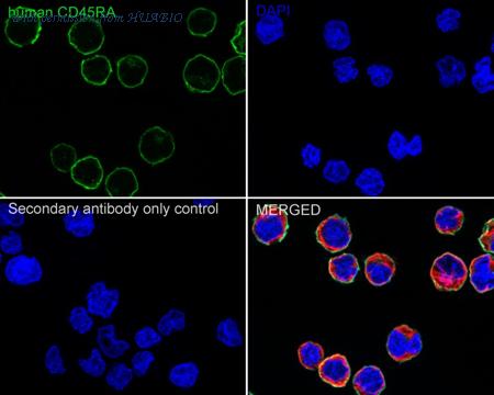 HUABIO HA601341 image 3