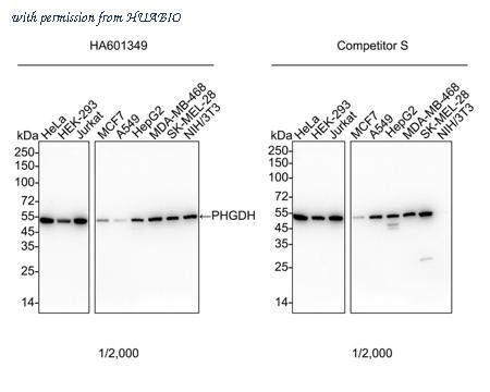 HUABIO HA601349 image 1