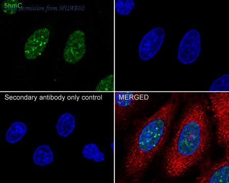 HUABIO HA601351 image 3