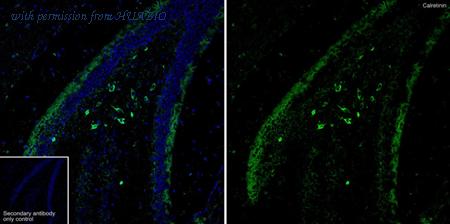 HUABIO HA601369 image 2