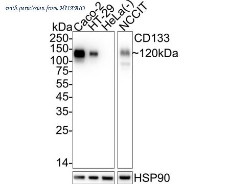 HUABIO HA610009 image 1