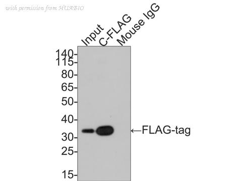 HUABIO HA610017 image 3