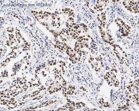 HUABIO HA610094 image 2