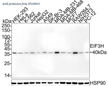 HUABIO HA610200 image 1