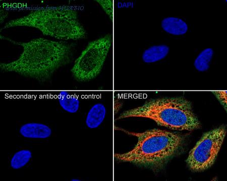 HUABIO HA610207 image 2