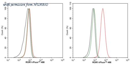 HUABIO HA610281 image 2