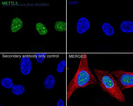HUABIO HA720002 image 3