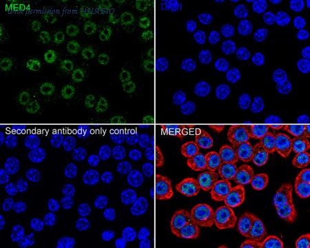 HUABIO HA720007 image 2