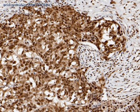 HUABIO HA720011 image 3