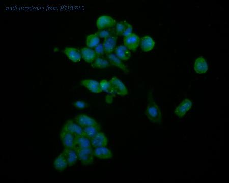 HUABIO HA720013 image 3