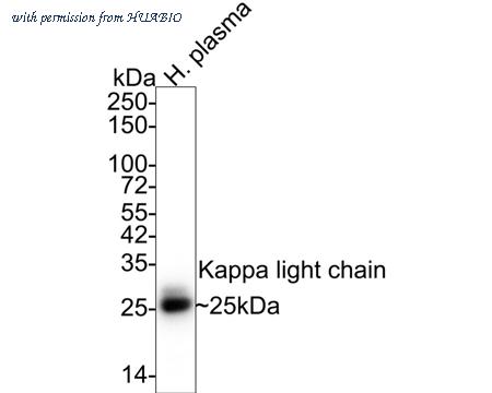 HUABIO HA720014 image 1