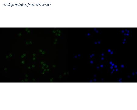 HUABIO HA720019 image 3