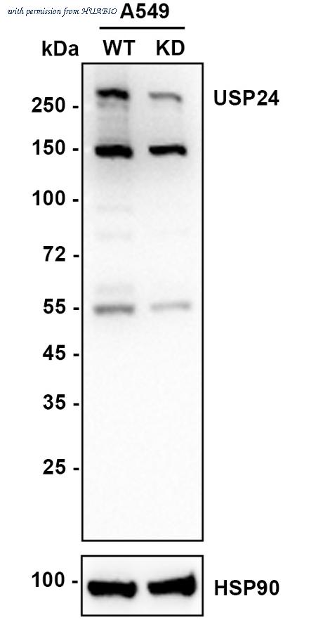 HUABIO HA720022 image 1