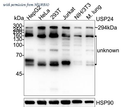 HUABIO HA720022 image 2