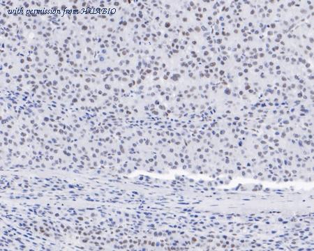 HUABIO HA720025 image 3