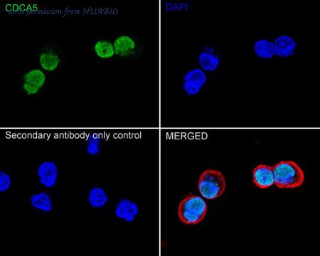 HUABIO HA720045 image 3