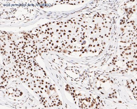 HUABIO HA720071 image 2