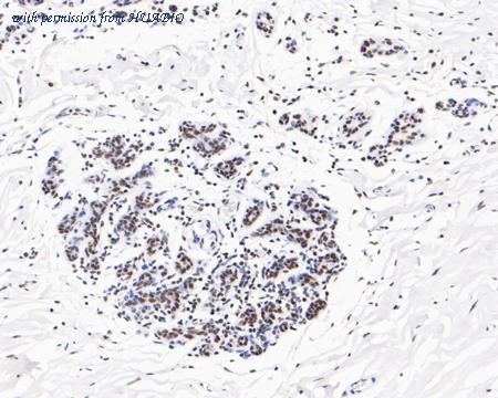 HUABIO HA720071 image 3