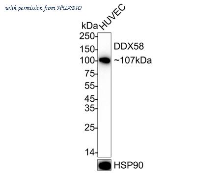 HUABIO HA720090 image 1