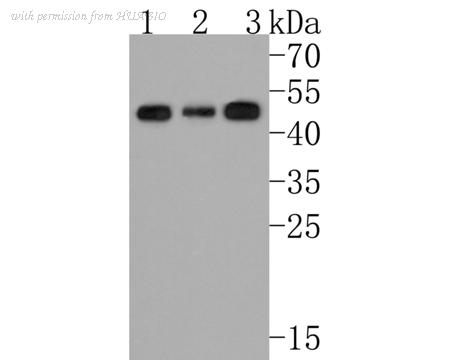 HUABIO HA720094 image 1