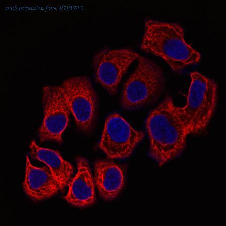 HUABIO HA720120F image 3