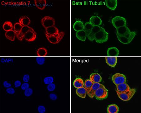 HUABIO HA720144F image 1