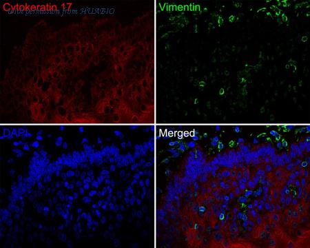 HUABIO HA720150F image 2