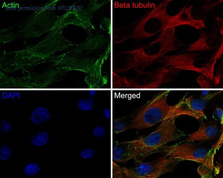 HUABIO HA720160F image 1