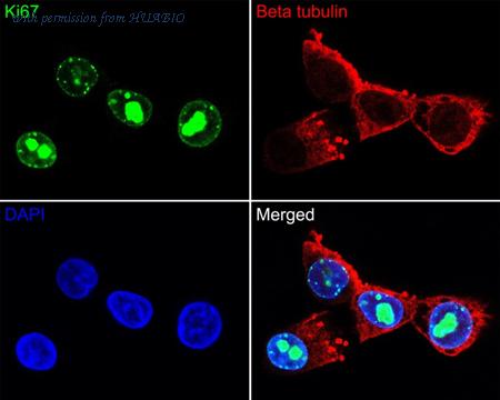 HUABIO HA720162F image 1