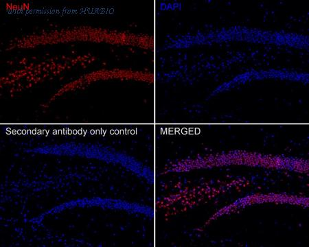 HUABIO HA720167F image 3