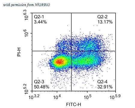 HUABIO HA720186F image 3