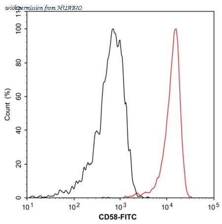 HUABIO HA720198F image 2
