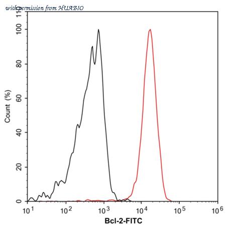 HUABIO HA720210F image 2