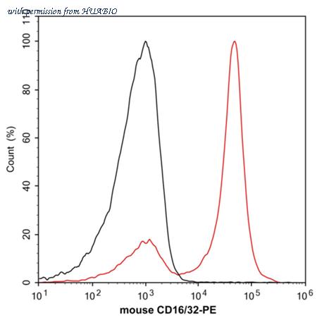 HUABIO HA720216F image 1