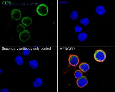 HUABIO HA721003 image 3