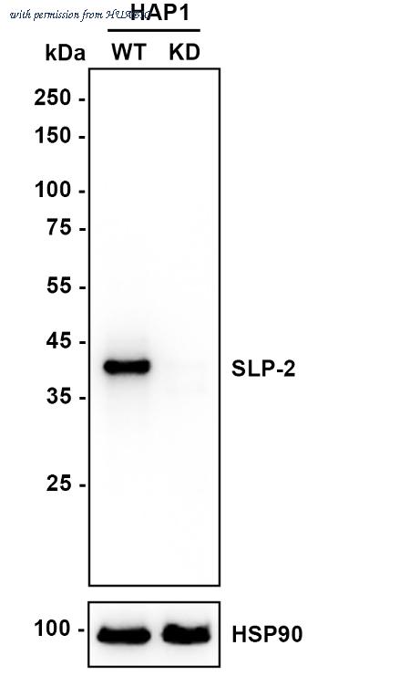 HUABIO HA721009 image 1