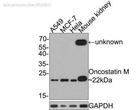 HUABIO HA721038 image 1