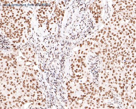 HUABIO HA721044 image 3