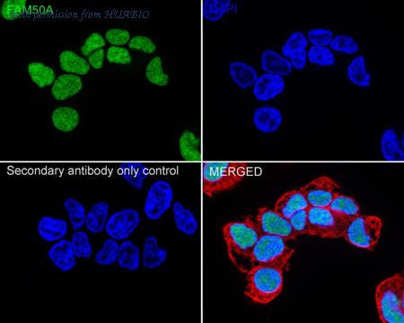 HUABIO HA721080 image 3