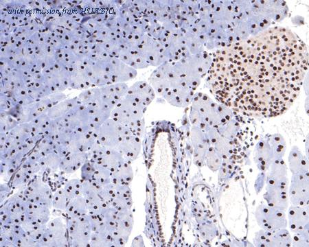 HUABIO HA721085 image 3