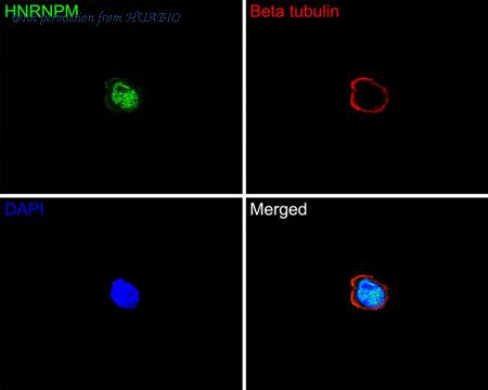 HUABIO HA721103 image 3