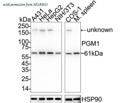 HUABIO HA721110 image 1