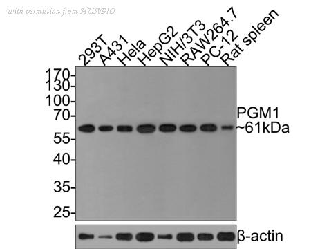 HUABIO HA721110 image 3